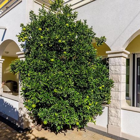 Apartments Palm Tree トロギール エクステリア 写真